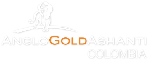 Anglo Gold Logo