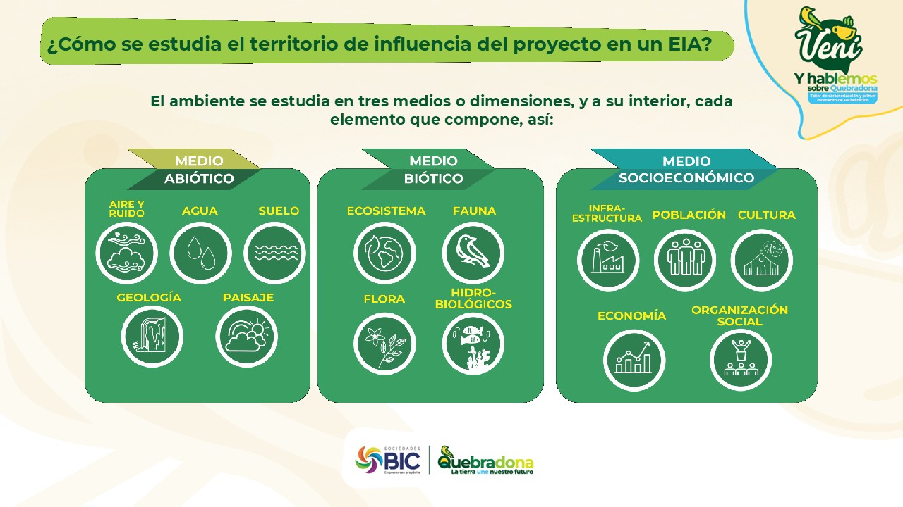 Diapositiva7