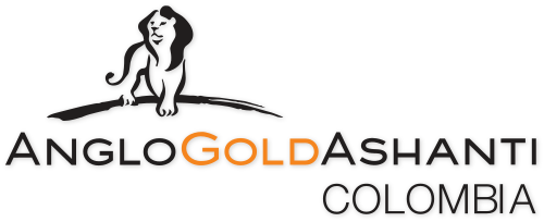 Anglo Gold Logo